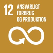 Sustainable Development Goal 12