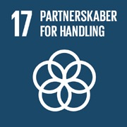 Sustainable Development Goal 17